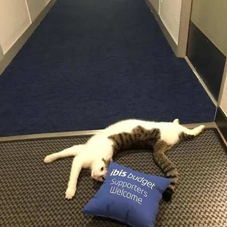 Hotel Ibis Budget